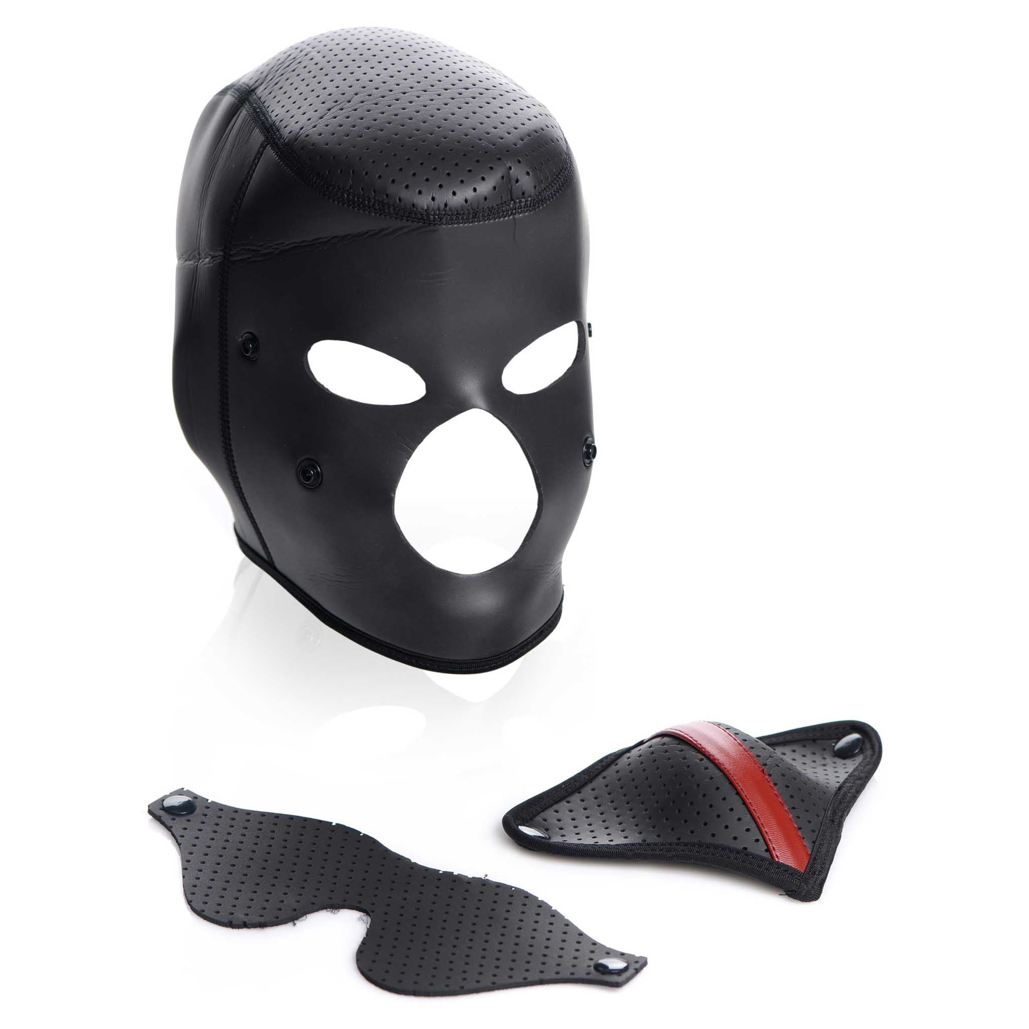 Master Series Scorpion Hood with Removable Blindfold and Face Mask
