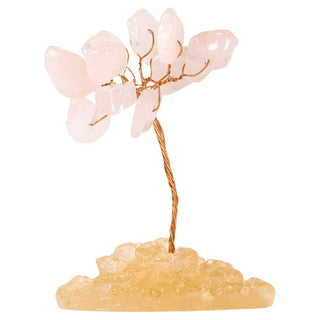 Baby Bonsai Stone Tree