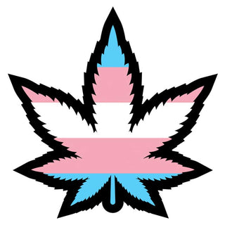 Wood Rocket Trans Pride Leaf Enamel Pin