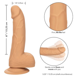 CalExotics Silicone Studs 6" Dildo with Suction Cup