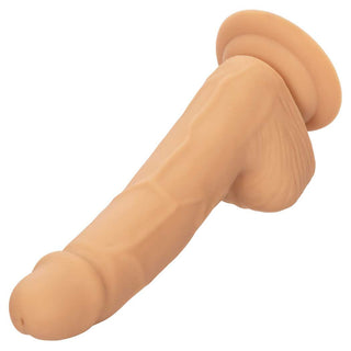 CalExotics Silicone Studs 6" Dildo with Suction Cup