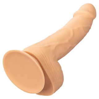 CalExotics Silicone Studs 6" Dildo with Suction Cup