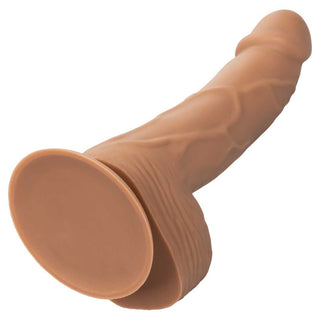 CalExotics Silicone Studs 6" Dildo with Suction Cup