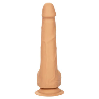 CalExotics Silicone Studs 8" Dildo with Suction Cup