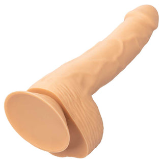 CalExotics Silicone Studs 8" Dildo with Suction Cup