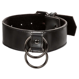 CalExotics Euphoria Collar with Chain Leash