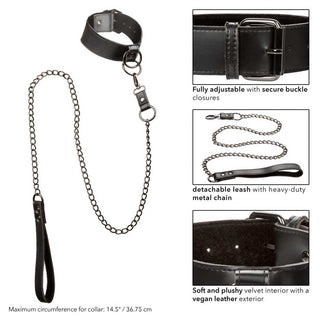 CalExotics Euphoria Collar with Chain Leash