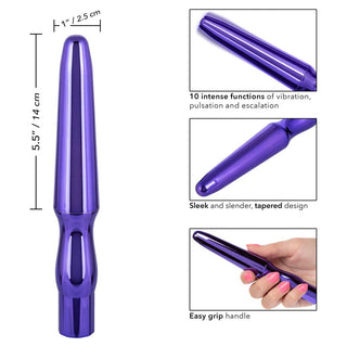 CalExotics Rechargeable Anal Probe