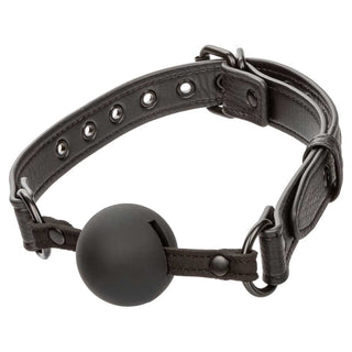 CalExotics Nocturnal Ball Gag