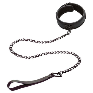 CalExotics Nocturnal Collar & Leash