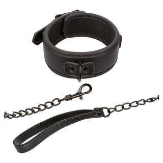 CalExotics Nocturnal Collar & Leash