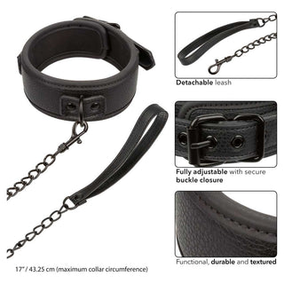 CalExotics Nocturnal Collar & Leash