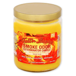 Smoke Odor Exterminator 13 oz. Jar Candles