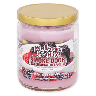 Smoke Odor Exterminator 13 oz. Jar Candles