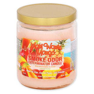 Smoke Odor Exterminator 13 oz. Jar Candles