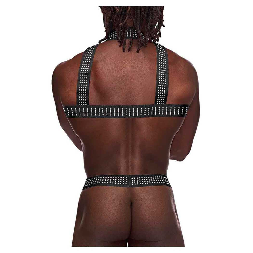 Male Power Elastic Studded Harness