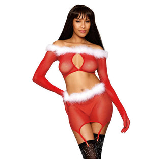 Dreamgirl Seamless Fishnet and Feather Trim Santa Two-piece Garter Set