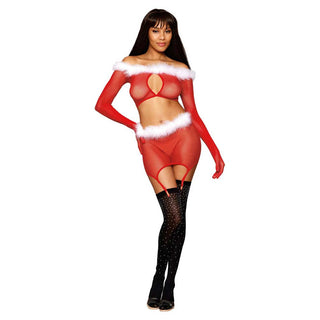 Dreamgirl Seamless Fishnet and Feather Trim Santa Two-piece Garter Set