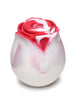 Red/White