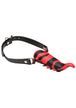 Black/Red