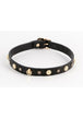 Black/Gold