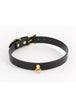Black/Gold