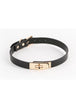 Black/Gold