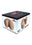 Vanilla