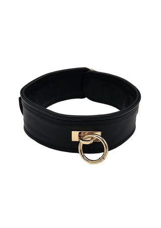 Leather Plain Collar with Gold Accessories - Black/Gold