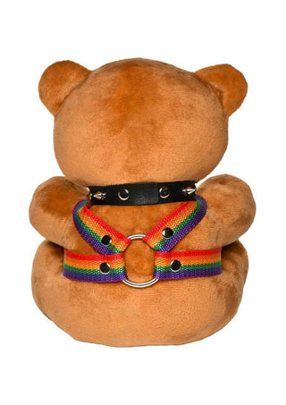 Master Series Pride Bear