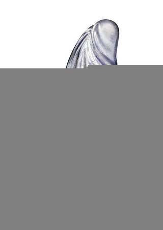 Naturally Yours Bling Dildo with Balls 7.5in - Sparkling - Clear