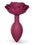 Plum Star/Purple