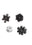 Black/Clear