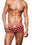 Animal Print/Red