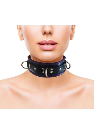 Rouge 3 D-Ring Padded Leather Adjustable Collar
