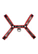 Black/Red
