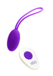 Indigo/Purple