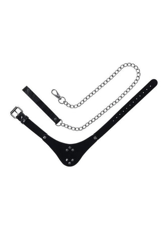 Velvet Noir Collar and Leash