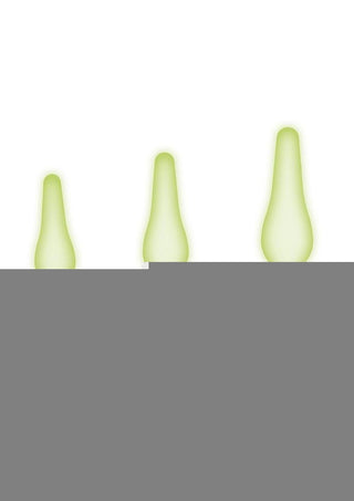 WhipSmart Glow In The Dark Silicone Anal Training Kit - Glow In The Dark/Green - 3 Piece