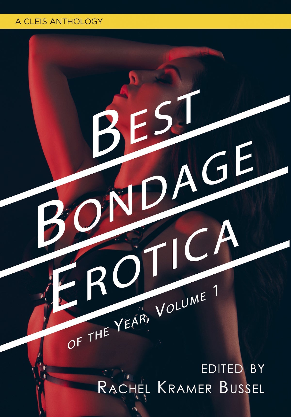 Best Bondage Erotica of the Year Vol 1