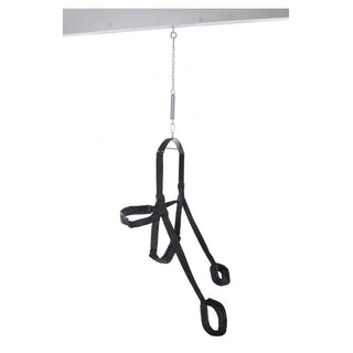 Fetish Fantasy Series Fantasy Swing