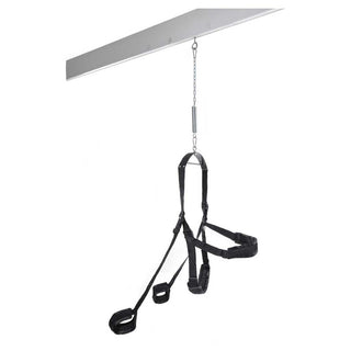 Fetish Fantasy Series Fantasy Swing