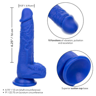 CalExotics Admiral® 7" Vibrating Sailor Dildo