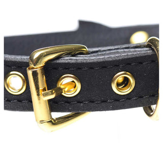 Master Series Golden Kitty Cat Bell Collar