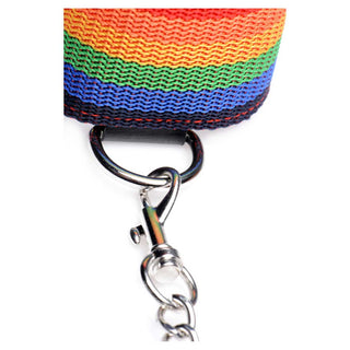 Master Series Kinky Pride Rainbow Bondage Set