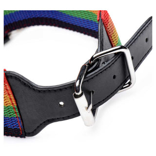 Master Series Kinky Pride Rainbow Bondage Set