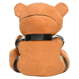 Master Series Gagged Teddy Bear Plush