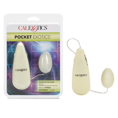 Pocket Exotics® Glow-in-the-Dark Egg