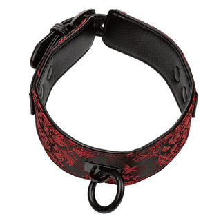 Scandal® Collar with Leash