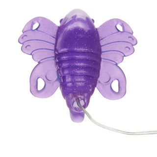 Venus Butterfly Purple Venus Butterfly 2